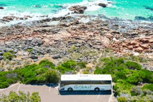 Exploring The Cost Benefits of an Electric Fleet